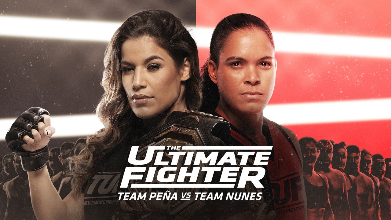 The Ultimate Fighter - Road to the Rematch