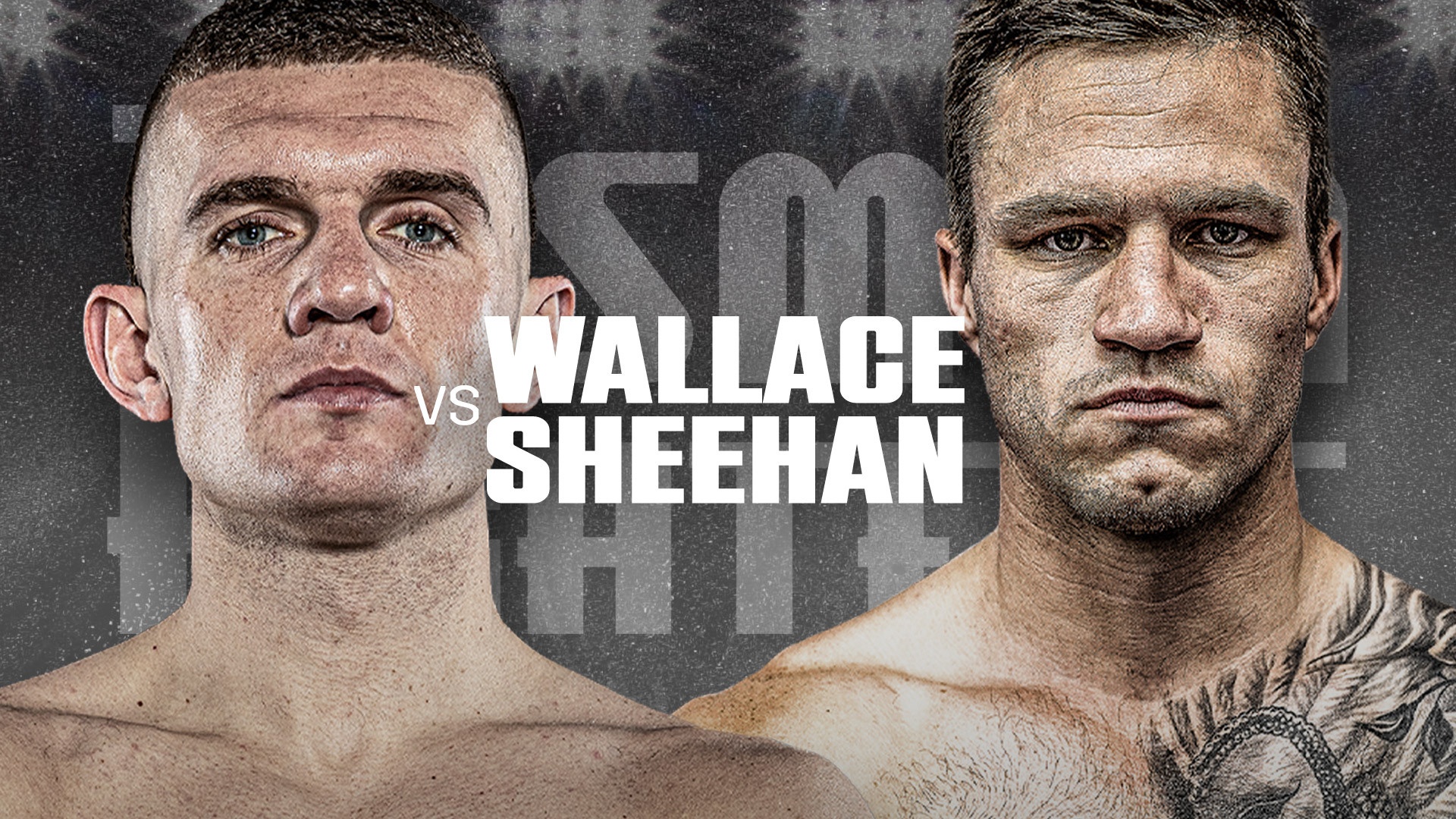 Wallace vs Sheehan